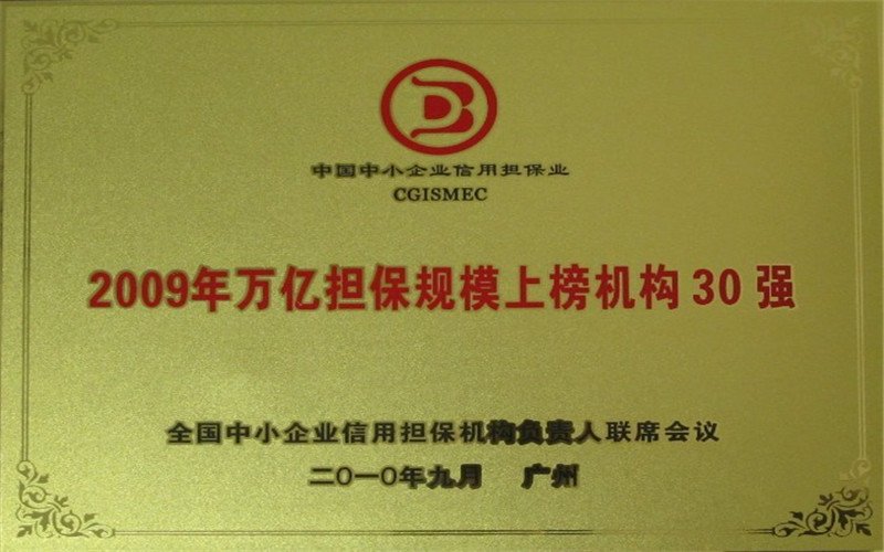 2009年萬億擔保規模上榜機構30強